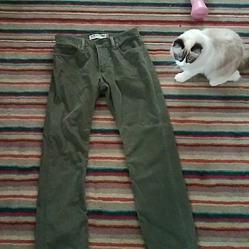 Levi Corduroy Slim Straight pants